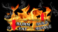 BurnFat2 Hoe zet je de vetverbranding aan in je lichaam? - Natuurlijk gezond - Santura