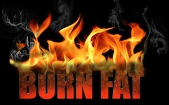 Burn-Fat Blog